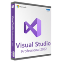 Microsoft Visual Studio Professional 2022 (PC)