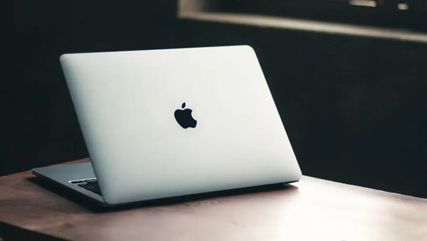 Office 2024 für Mac: Home & Business oder Standard?
