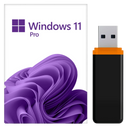 Windows 11 Pro USB-Stick kaufen – bootfähig + Lizenz