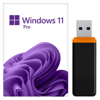 Windows 11 Pro 64 Bit USB-Stick mit Produktschlüssel von KARINEX
