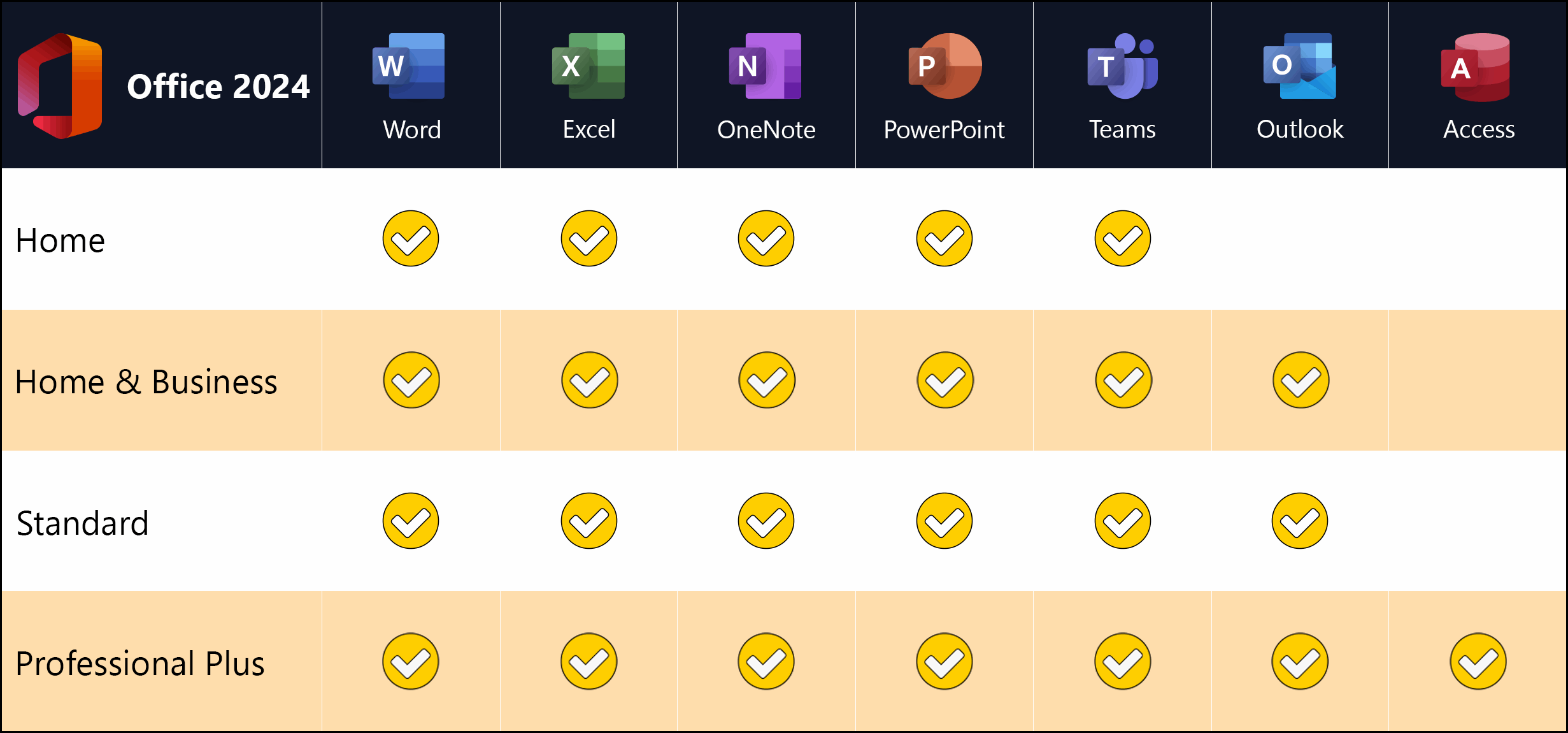 Microsoft Office 2024 Professional Plus | für Windows