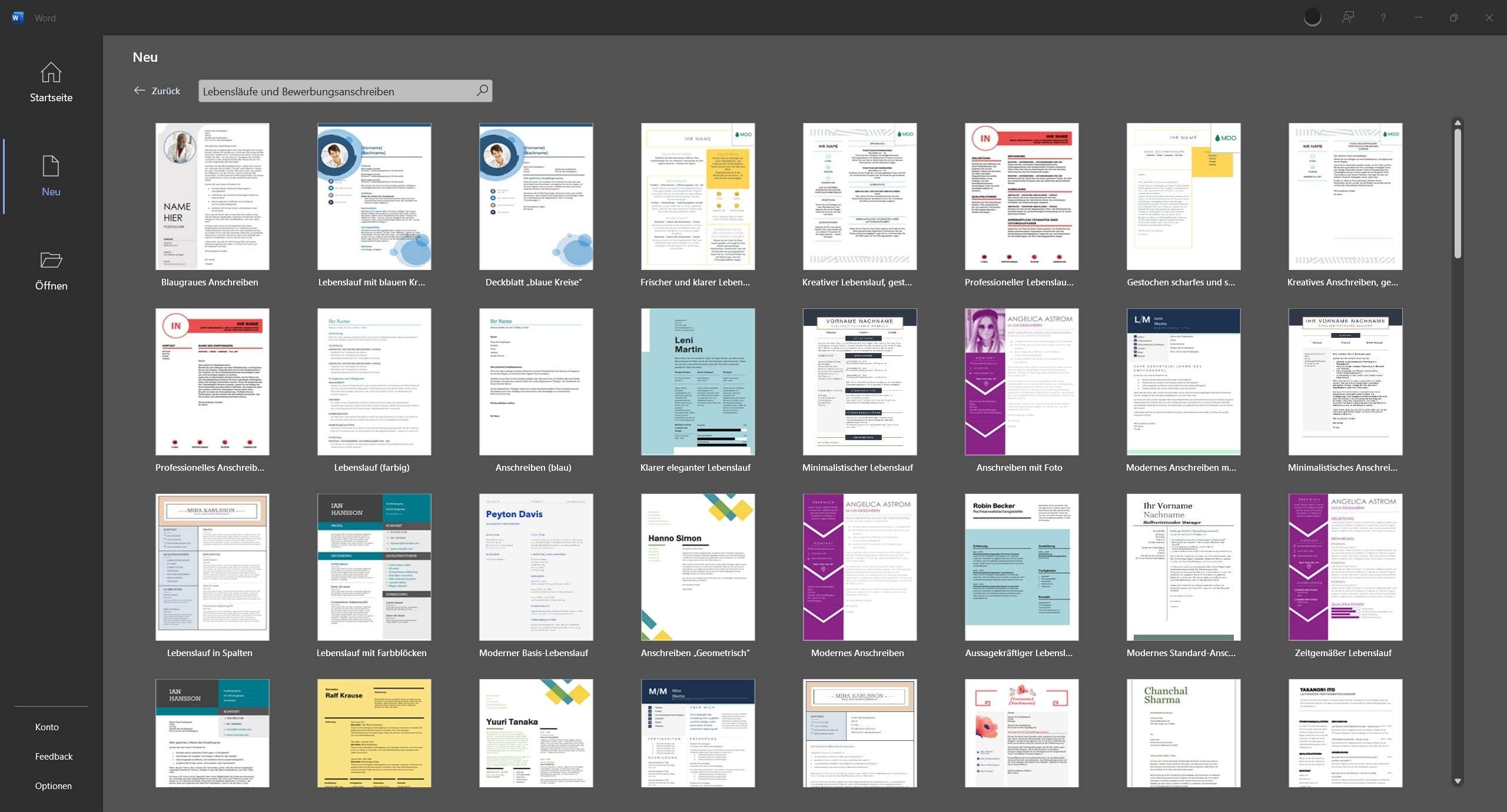 Microsoft Office 2024 Professional Plus | für Windows