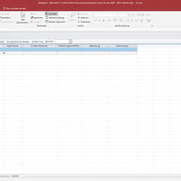 Microsoft Office 2019 Professional für Windows – Access-Screenshot mit geöffneter Datenbank und Tabellenansicht zur Datenverwaltung.
