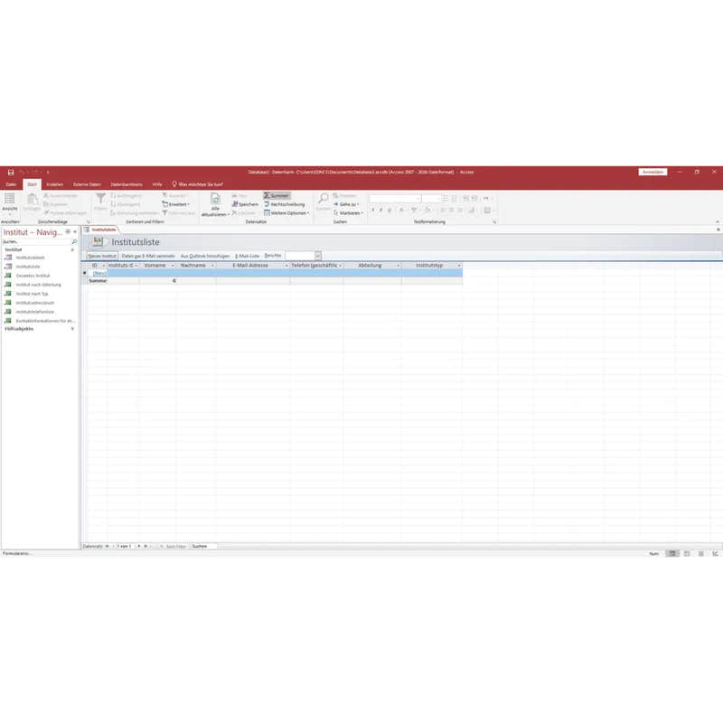 Microsoft Office 2019 Professional für Windows – Access-Screenshot mit geöffneter Datenbank und Tabellenansicht zur Datenverwaltung.
