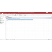 Microsoft Office 2019 Professional für Windows – Access-Screenshot mit geöffneter Datenbank und Tabellenansicht zur Datenverwaltung.
