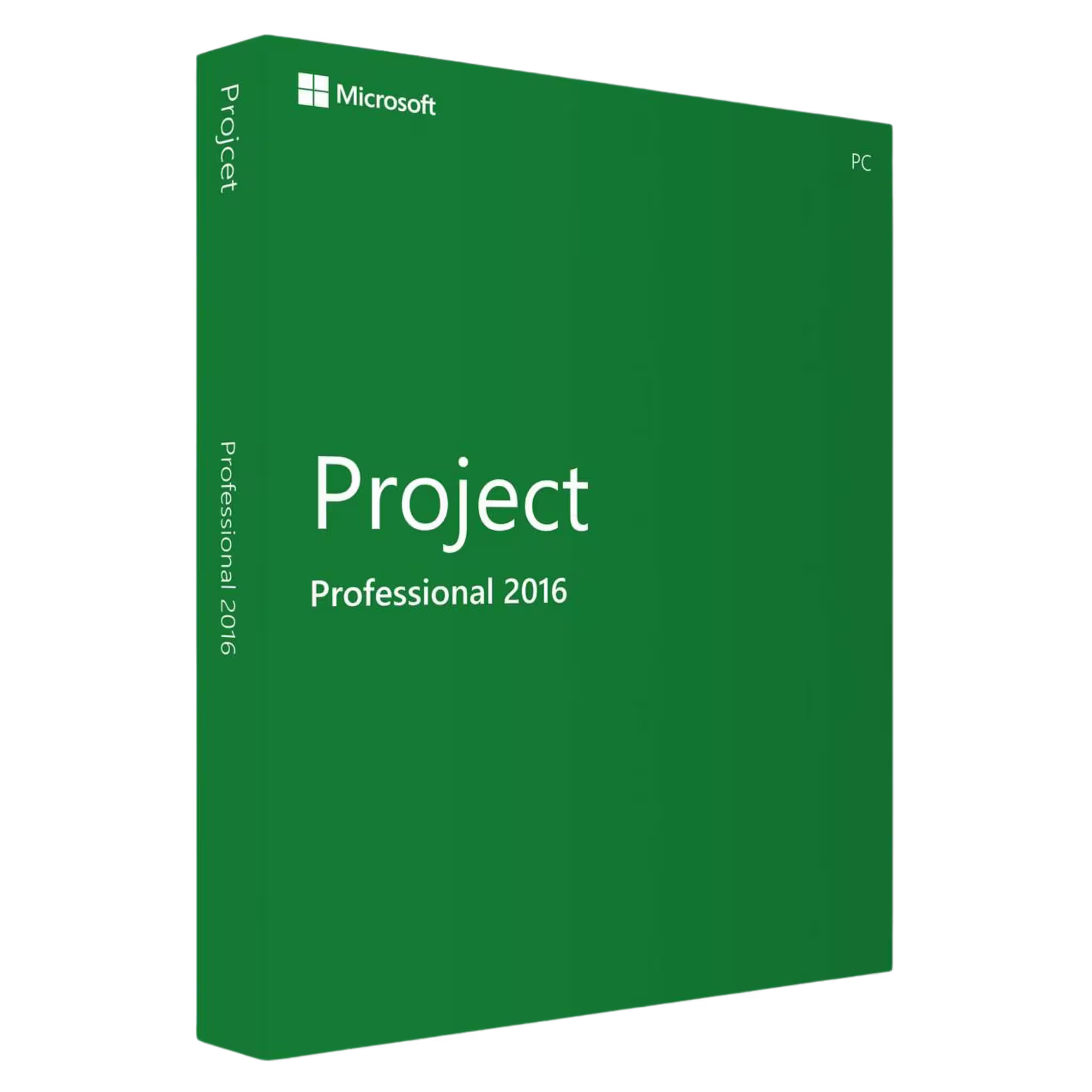 Microsoft Project 2016 Professional (PC)