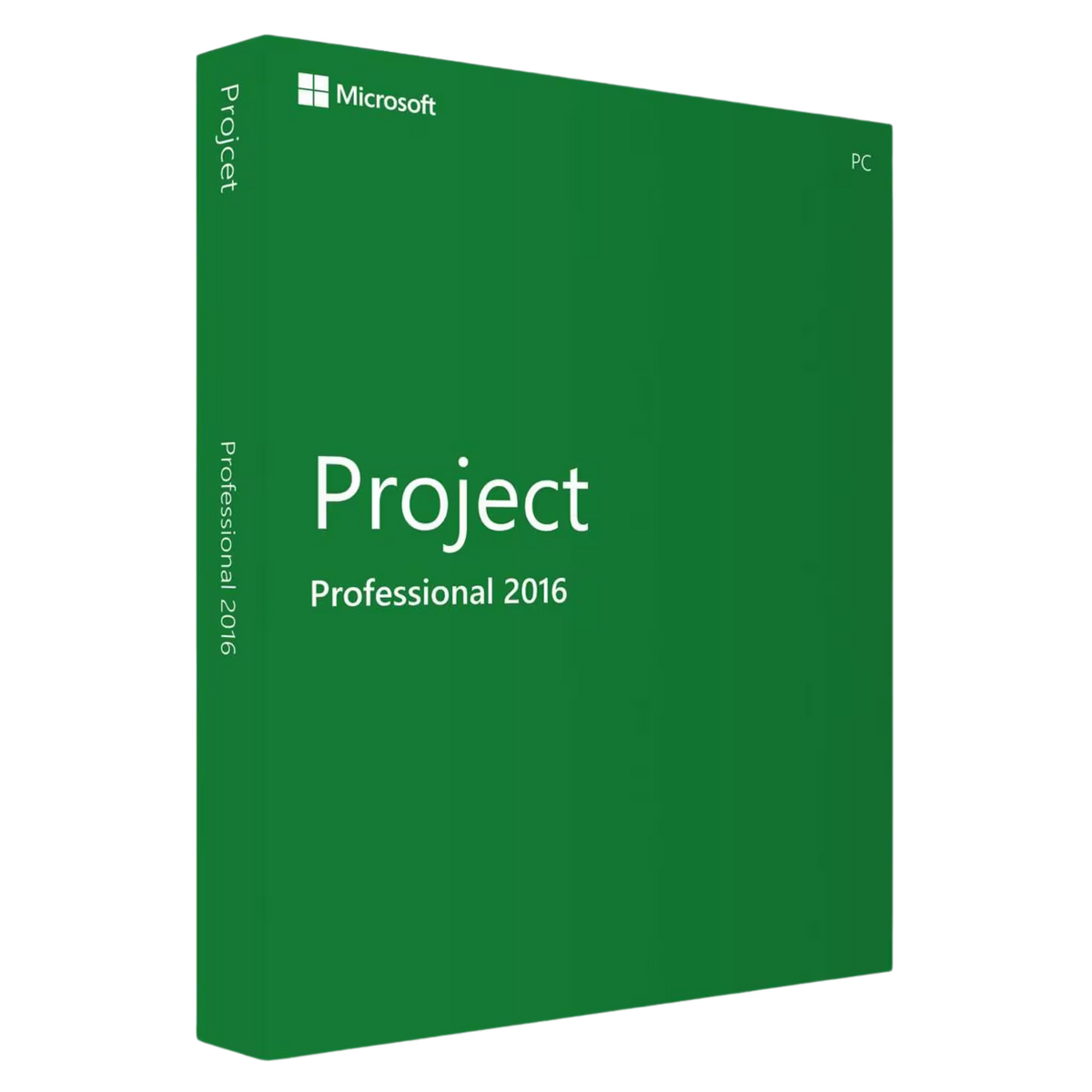 Microsoft Project 2016 Professional Lizenz für Windows als Produktbox