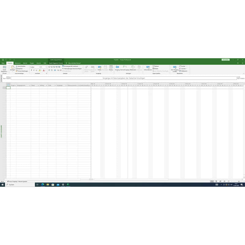 Screenshot aus Microsoft Project 2021 Professional unter Windows mit Gantt-Diagramm und Projektplanungsansicht