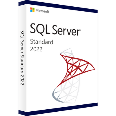 Microsoft SQL Server 2022 Standard kaufen – Original Lizenz | Sofort E-Mail Versand