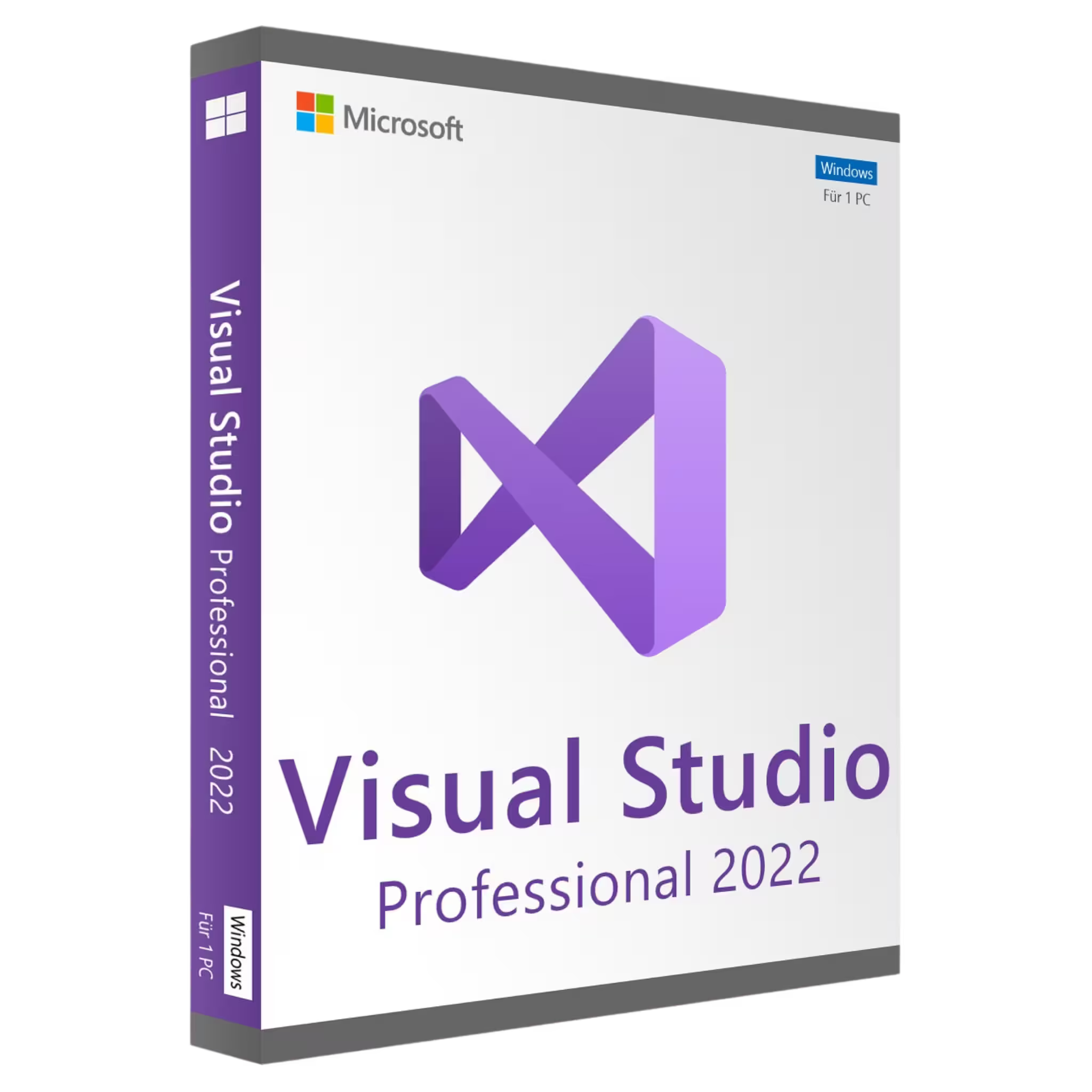 Microsoft Visual Studio Professional 2022 (PC)