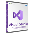 Microsoft Visual Studio Professional 2022 (PC)