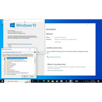 Aktivierungs- und Systemeinstellungsfenster von Windows 10 Enterprise mit Optionen zur Lizenzaktivierung und Verwaltung der Windows-Funktionen
