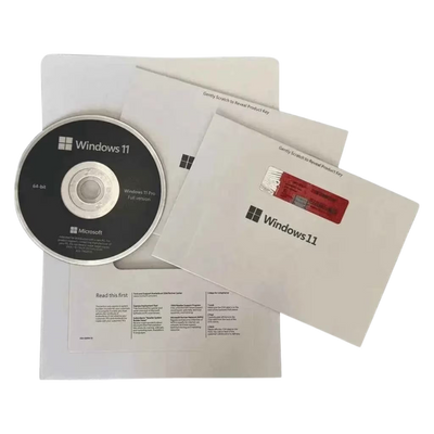 Windows 11 Pro DVD kaufen