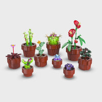 LEGO Icons Mini Pflanzen 10329 kaufen – Produktvideo mit Blumen, Kakteen und dekorativen Pflanzentöpfen - Video