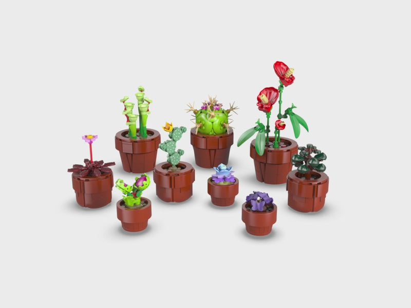 LEGO Icons Mini Pflanzen 10329 kaufen – Produktvideo mit Blumen, Kakteen und dekorativen Pflanzentöpfen