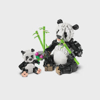 LEGO Creator 3-in-1 Pandafamilie 31165 kaufen – Produktvideo mit Panda Figuren und Spielszene - Video