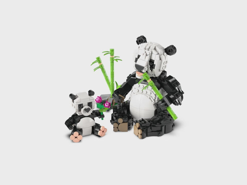 LEGO Creator 3-in-1 Pandafamilie 31165 kaufen – Produktvideo mit Panda Figuren und Spielszene