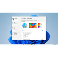 Windows 11 Enterprise zeigt die Barrierefreiheits-Einstellungen mit aktivierten Farbfiltern im Bereich Accessibility